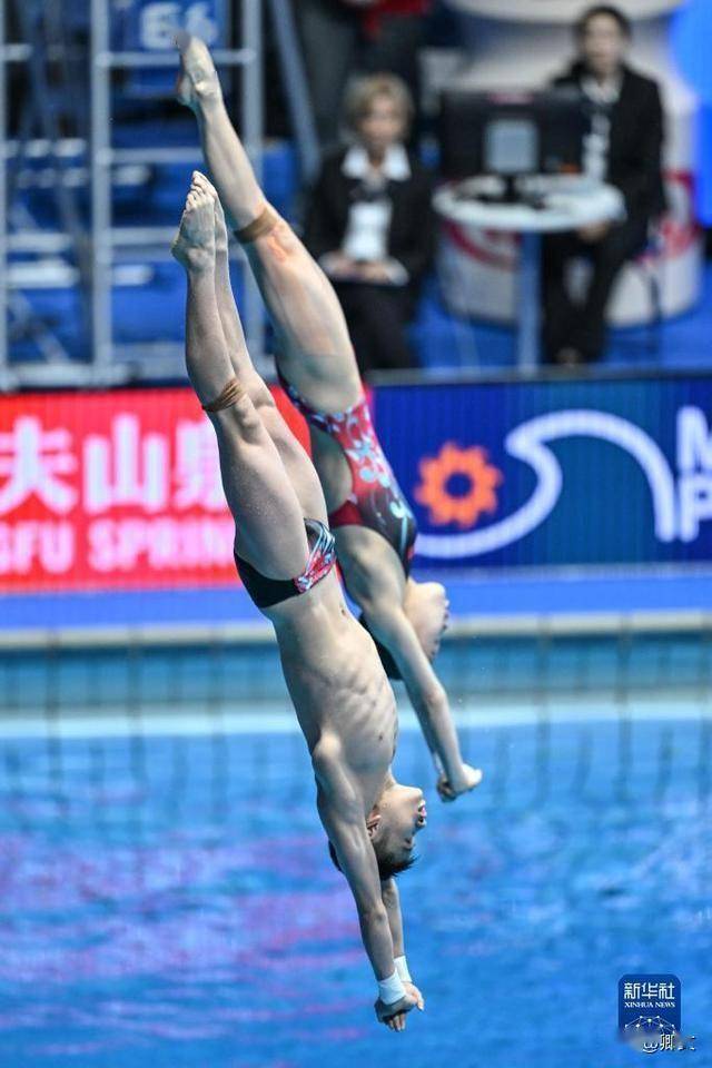 拼搏神奇的跳水比赛，惊险连连的简单介绍