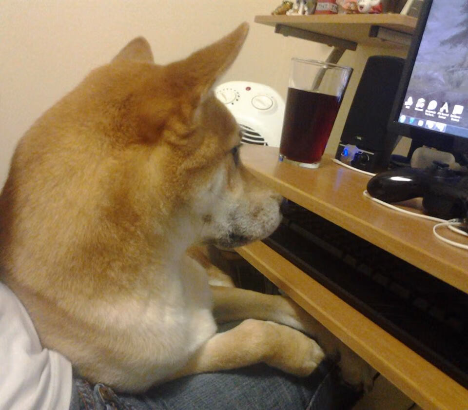 雷火电竞主播-奥运周期关键战之夜，皮克压力熔炉中的淬炼与绽放