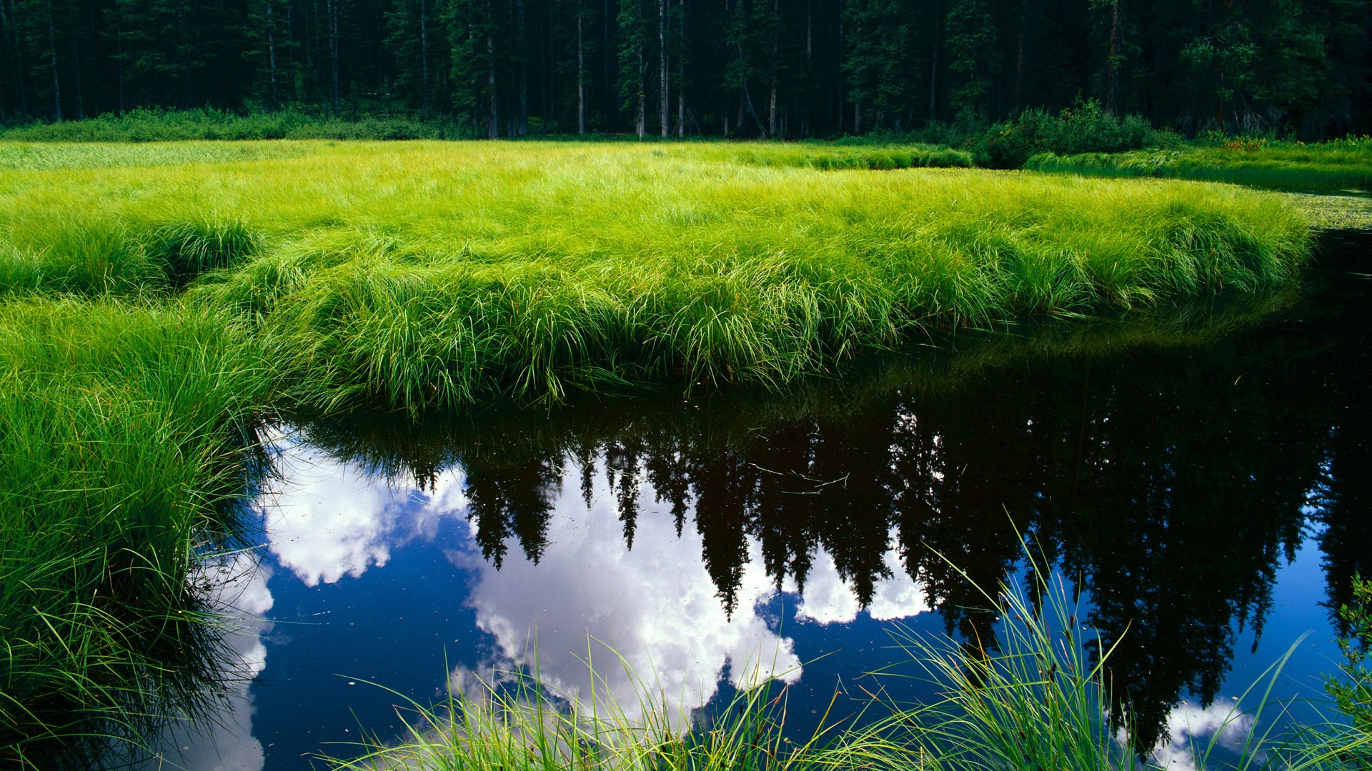 雷火电竞入驻-金色马蹄铁，雨夜中的背叛与救赎—记厄瓜多尔历史性击败巴西与关键先生穆勒