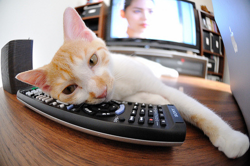 雷火电竞下载-绝境翻盘！墨西哥奥运征途的悬崖边逆转奇迹