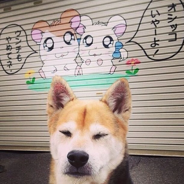 雷火电竞官网-老将霸权，保罗关键一击摧毁雷霆，鹈鹕强势晋级之路再添砝码