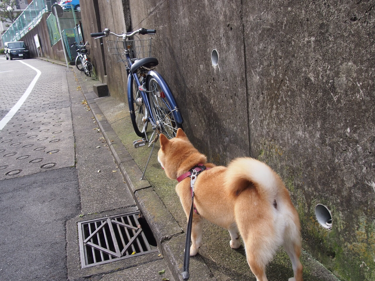 英伦星辰照亮亚平宁夜空,当萨卡成为意甲焦点战的破局者