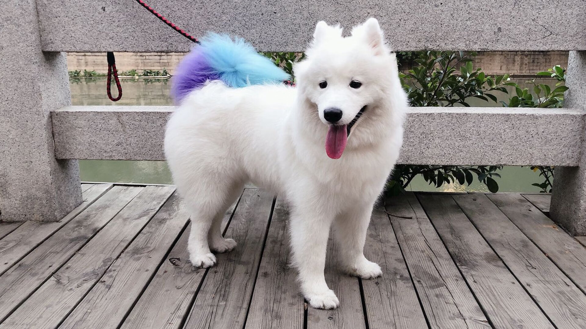 极光下的唯一胜利,哥斯达黎加如何击碎冰岛神话,成为年度焦点战的永恒注脚