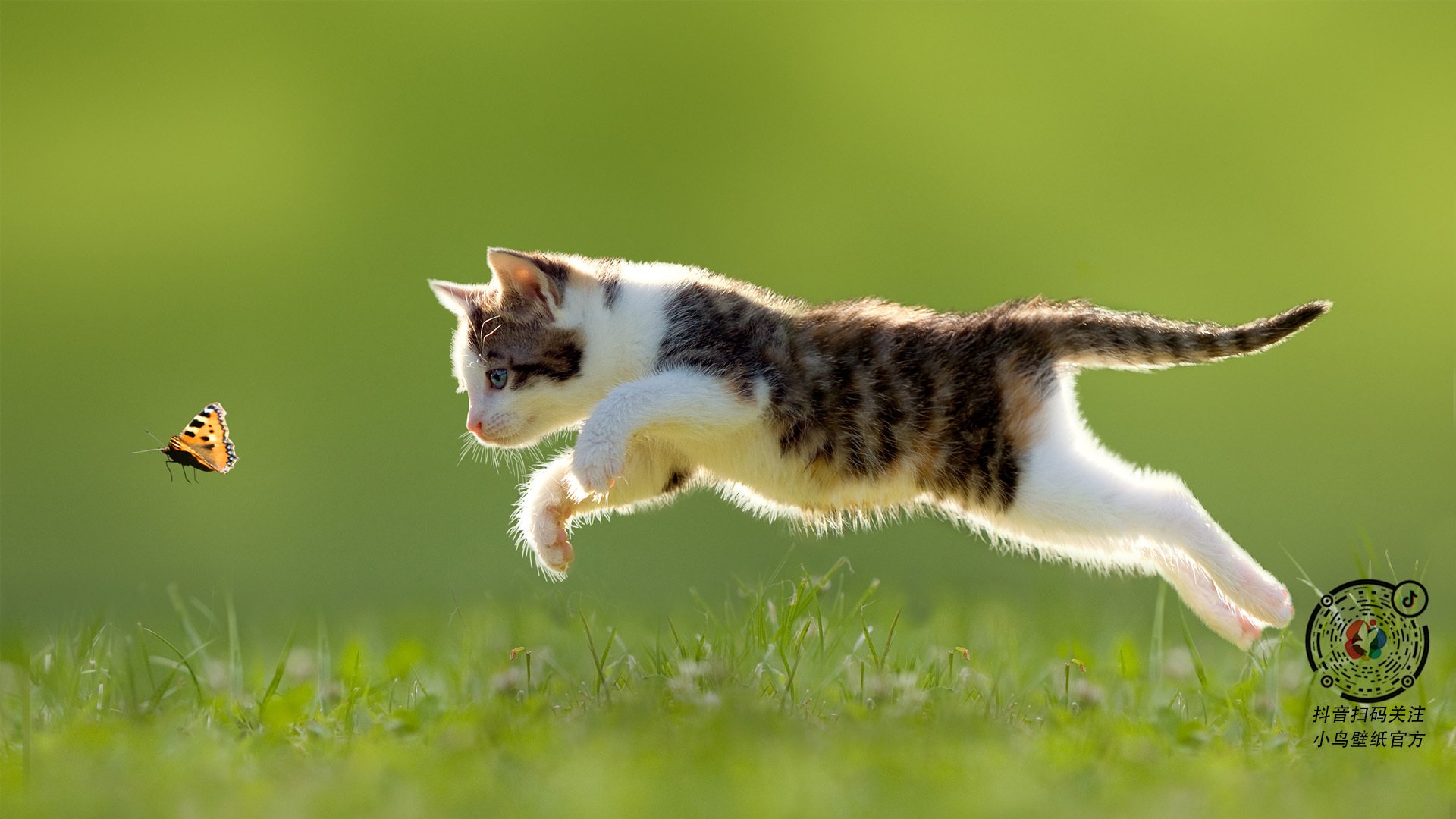 雷火电竞-镁光灯与千斤顶，圣西罗之夜，蒂亚戈以沉默者的交响诗完成救赎