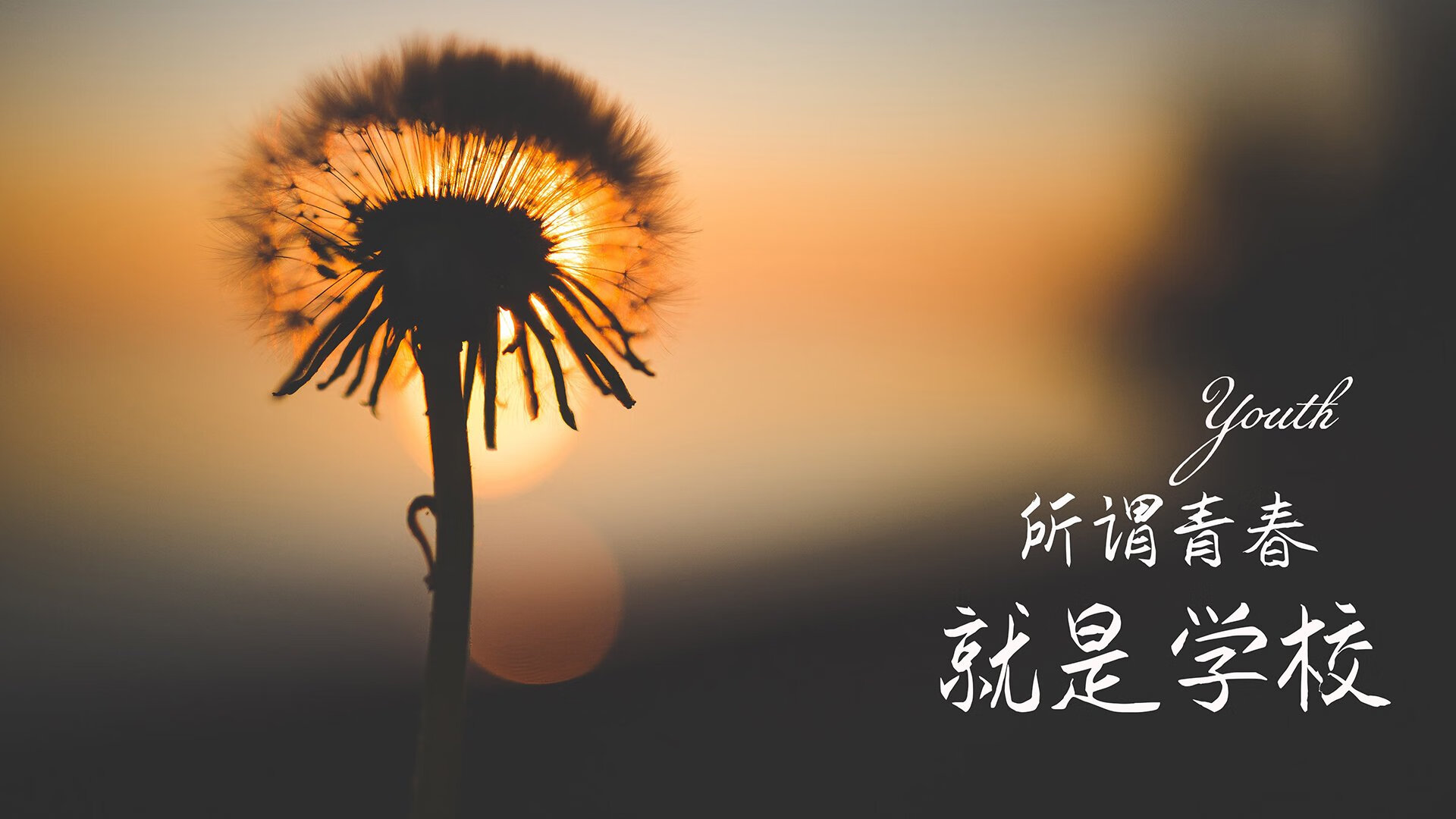 跨时空交响,当尼日利亚的鼓点驱动拜仁的战车,本泽马在世界排名的终局接管比赛